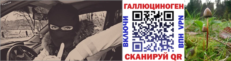 Галлюциногенные грибы прущие грибы  Купить где  Верхоянск 